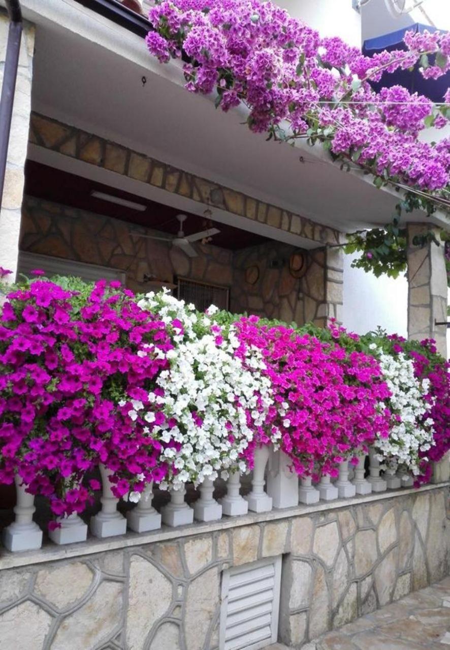 Apartments Dobri - 500M From Beach Nin Esterno foto